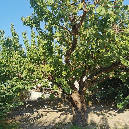 Villa Dans Le Sud Lunel  Luaran gambar