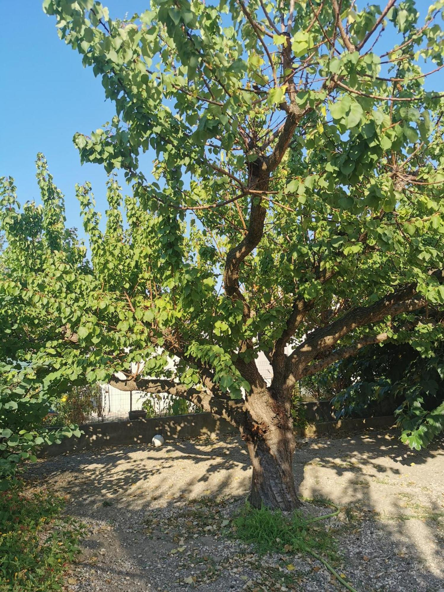 Villa Dans Le Sud Lunel  Luaran gambar